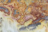 Polished, Crazy Lace Agate Slab - Western Australia #96243-1